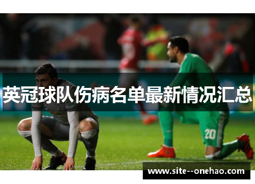 英冠球队伤病名单最新情况汇总 英冠球队伤病名单最新情况汇总