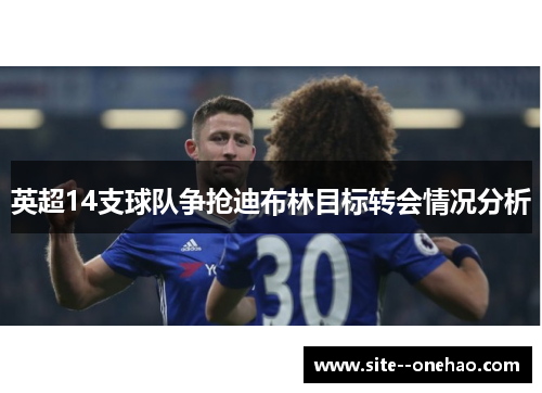 英超14支球队争抢迪布林目标转会情况分析 英超14支球队争抢迪布林目标转会情况分析