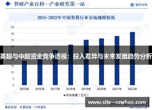 英超与中超资金竞争透视:投入差异与未来发展趋势分析 英超与中超资金竞争透视:投入差异与未来发展趋势分析