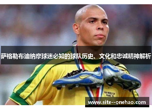 萨格勒布迪纳摩球迷必知的球队历史、文化和忠诚精神解析 萨格勒布迪纳摩球迷必知的球队历史、文化和忠诚精神解析