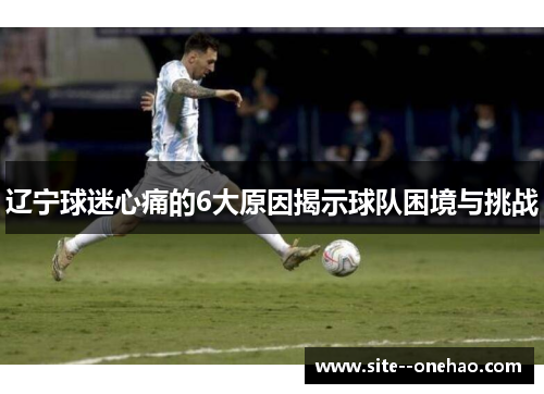 辽宁球迷心痛的6大原因揭示球队困境与挑战 辽宁球迷心痛的6大原因揭示球队困境与挑战