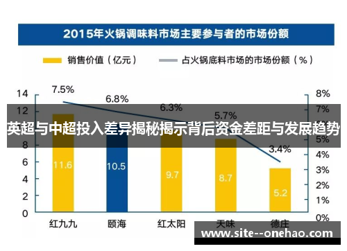 英超与中超投入差异揭秘揭示背后资金差距与发展趋势 英超与中超投入差异揭秘揭示背后资金差距与发展趋势