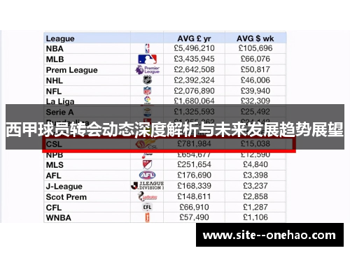 西甲球员转会动态深度解析与未来发展趋势展望