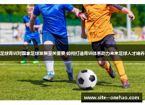 足球青训对国家足球发展至关重要 如何打造青训体系助力未来足球人才培养