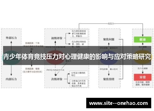 青少年体育竞技压力对心理健康的影响与应对策略研究