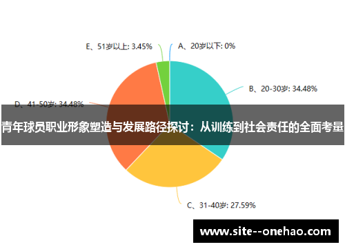 青年球员职业形象塑造与发展路径探讨：从训练到社会责任的全面考量