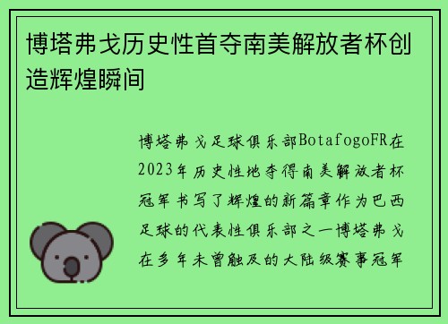 博塔弗戈历史性首夺南美解放者杯创造辉煌瞬间 博塔弗戈历史性首夺南美解放者杯创造辉煌瞬间